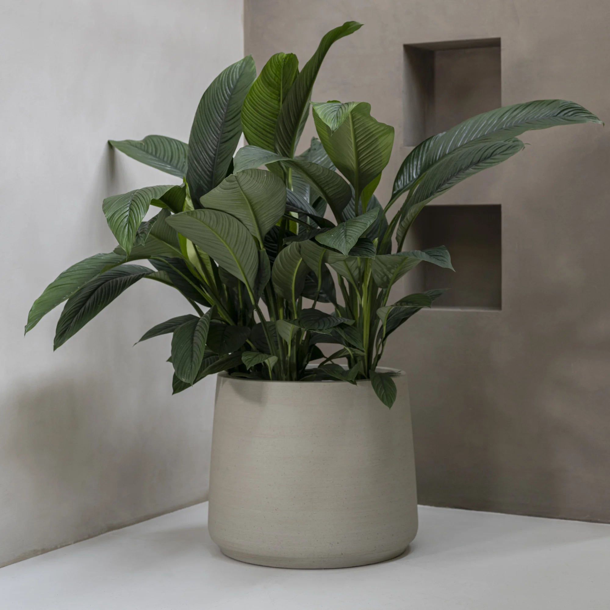 Jumbo Patt, Beige Washed