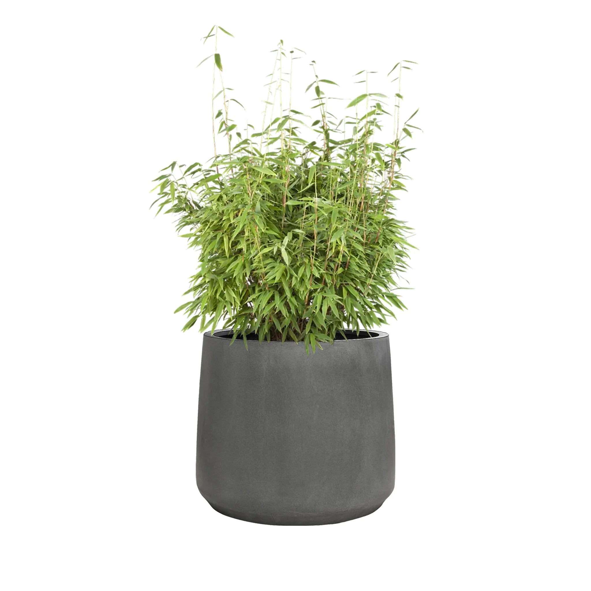 Plant+Pot Patt
